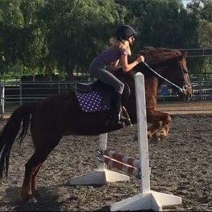 Meet your Posher, Vivian